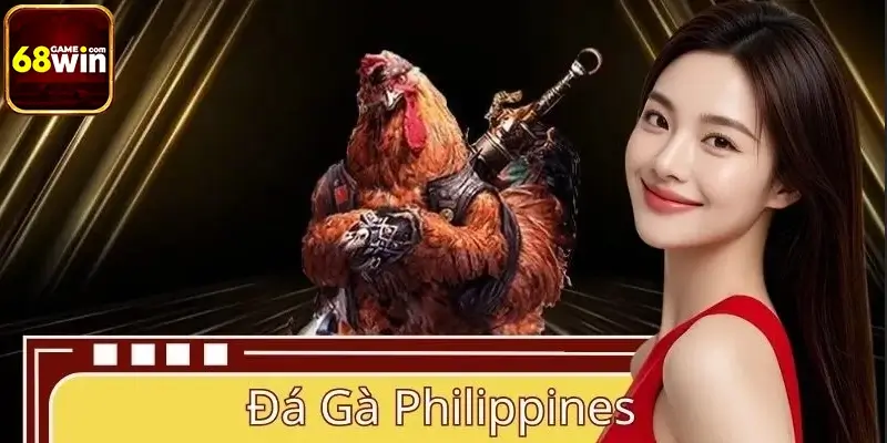 Đá Gà Philippines 68WIN – Sàn Đấu Của Chiến Kê Tinh Nhuệ