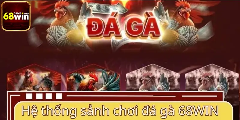 Hệ thống sảnh chơi đá gà 68WIN Hệ thống sảnh chơi đá gà 68WIN
