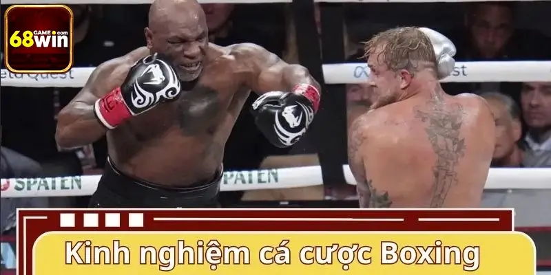 Kinh nghiệm chơi cá cược Boxing đỉnh cao Kinh nghiệm chơi cá cược Boxing đỉnh cao