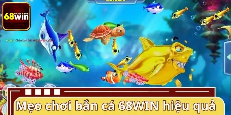 Mẹo chơi bắn cá 68WIN hiệu quả Mẹo chơi bắn cá 68WIN hiệu quả