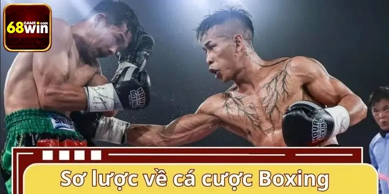 Sơ lược về bộ môn cá cược Boxing Sơ lược về bộ môn cá cược Boxing