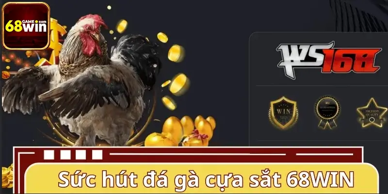 Sức hút mãnh liệt của đá gà cựa sắt 68WIN