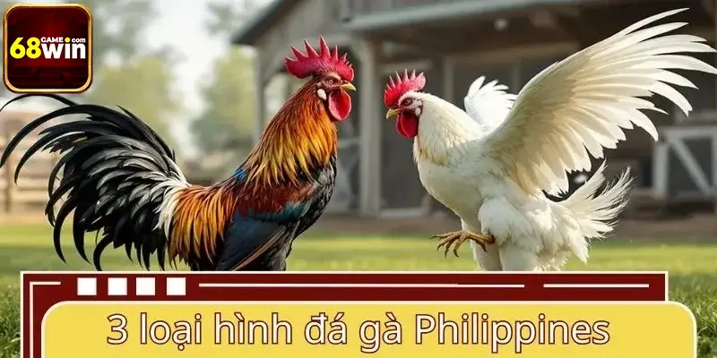 Tổng hợp 3 loại hình hấp dẫn trong đá gà Philippines