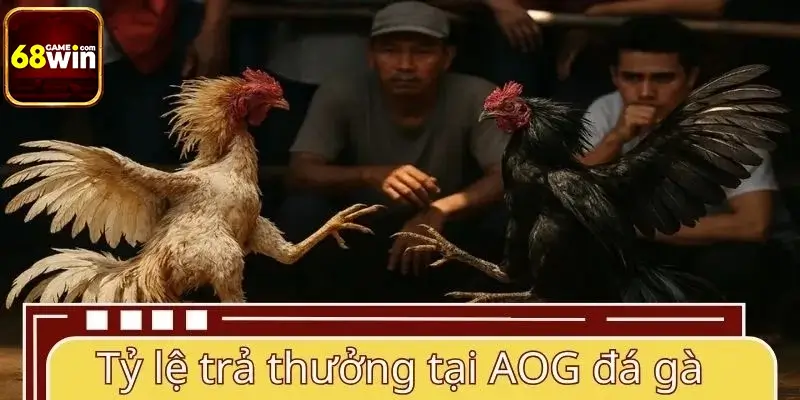 Tỷ lệ trả thưởng tại sân chơi AOG đá gà Tỷ lệ trả thưởng tại sân chơi AOG đá gà